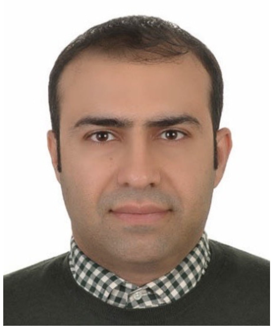 Seyedmehdi Sharifian