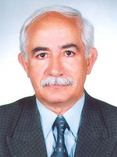 محمدولی ولیزاده