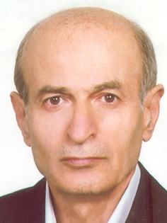 Bagher Sarokhani 