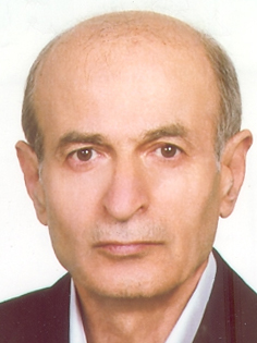 Bagher Sarokhani