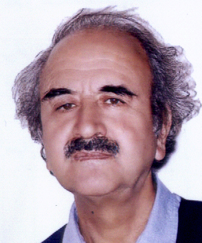 Mohammad Reza Shafiei Kadkani