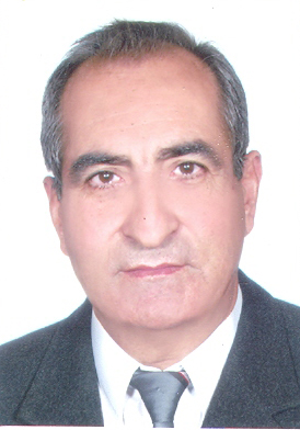 Naser Tohidi