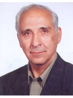 Hosein Mohseni