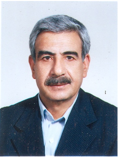 Hasan Salehi Fateh Abadi