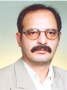 Mohsen Sarafin Ardebili