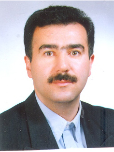 Seyed Hossein Mardjanmehr