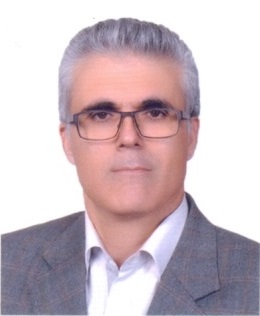 Seyed Hasan Zahraei