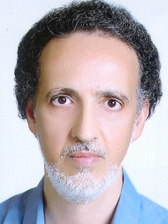 Seyed Mahmoud Arab Najafi