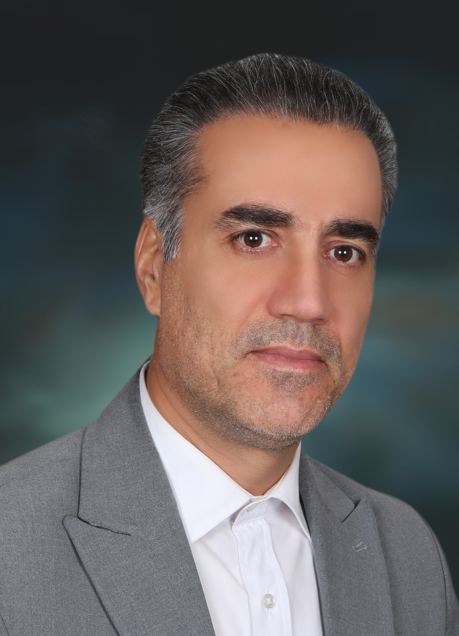 حسن مهرنیا