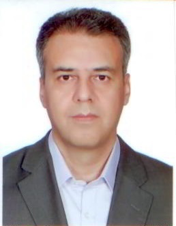 Seyed Ali Torabi