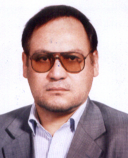 Mohammad Ali Ansari Pour