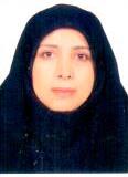 Elham Amin Zadeh