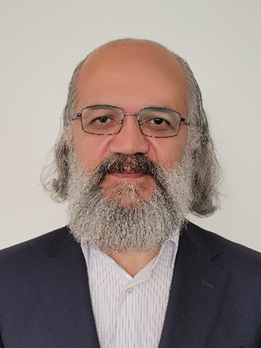 Majid Alizadeh