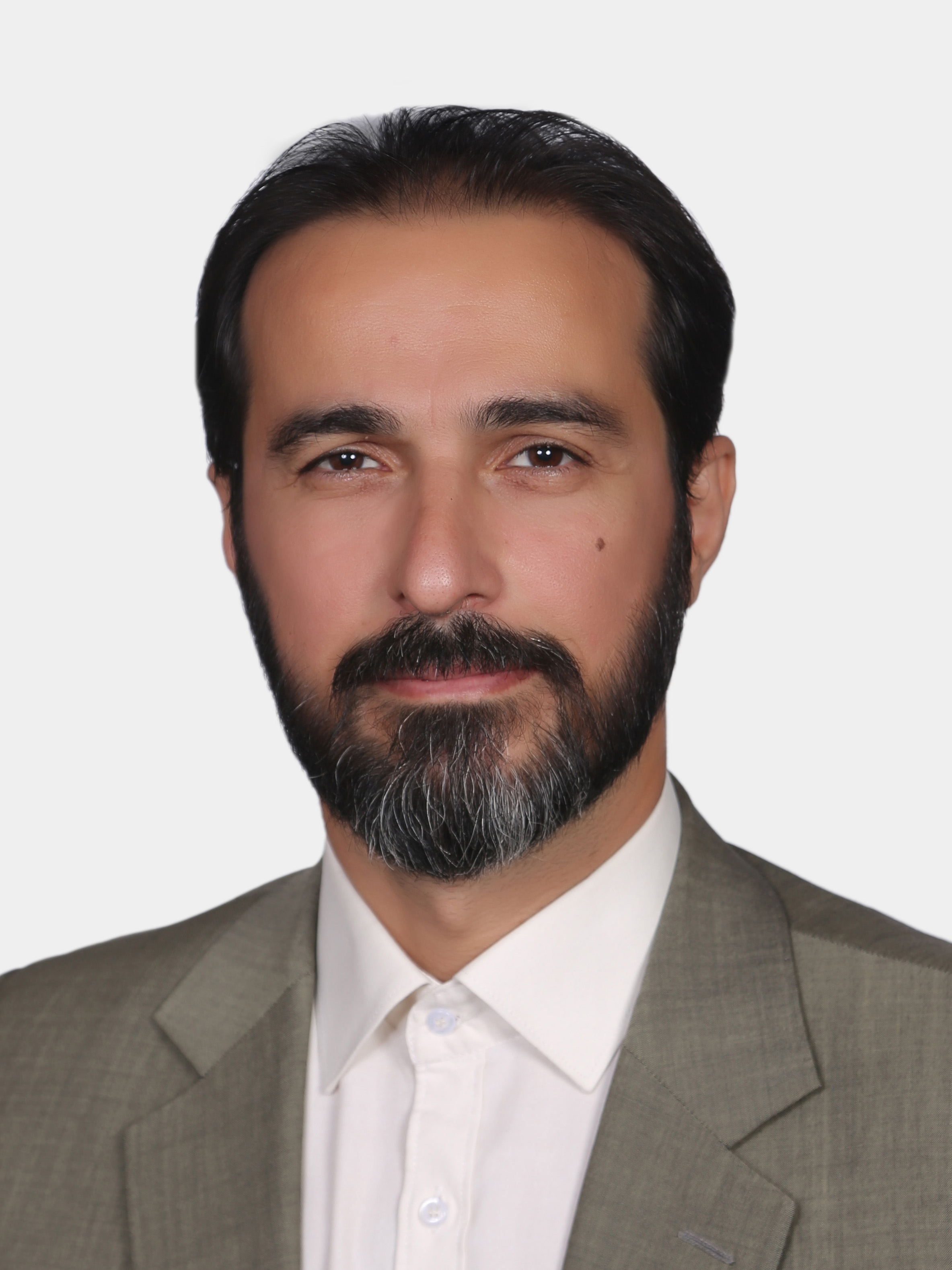 Hassan Mohseni