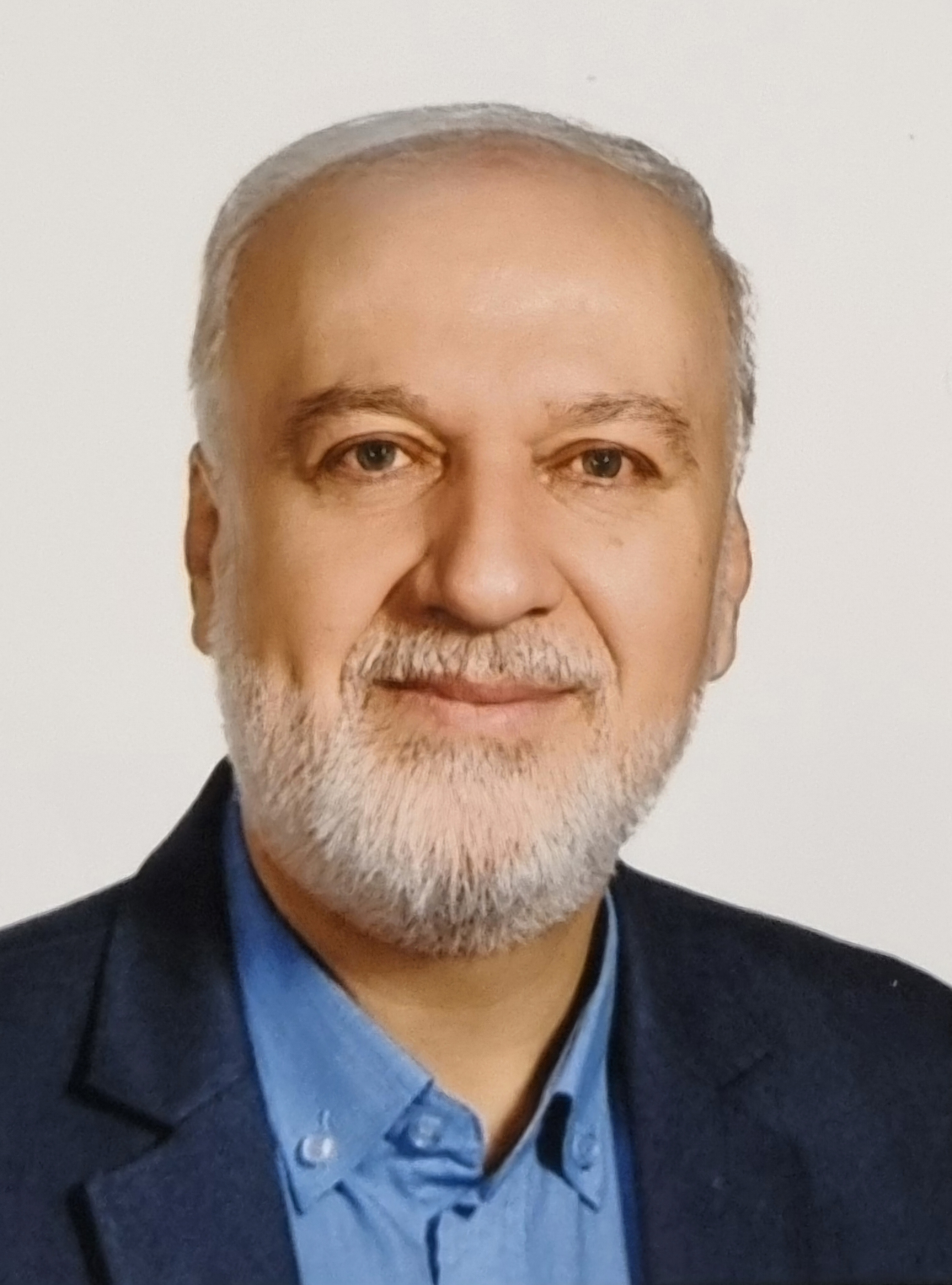 سیدحمیدرضا میرعظیمی