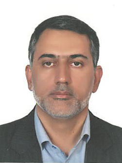 Nader Mirzadeh