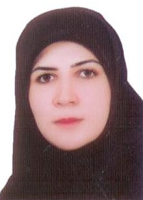 Ashraf Sadat Hatamian Zaremi