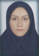 هستی چیت سازان