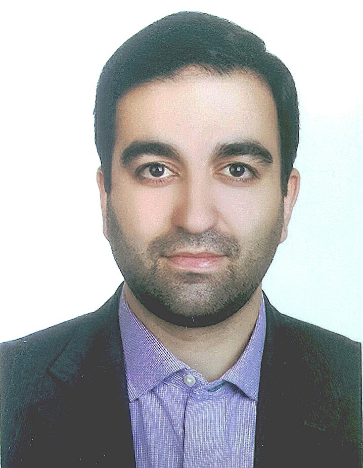 Mohamad Mahdi Zolfagharzadeh