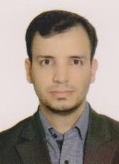 Seyed Mohammad Tabatabaei Nejad