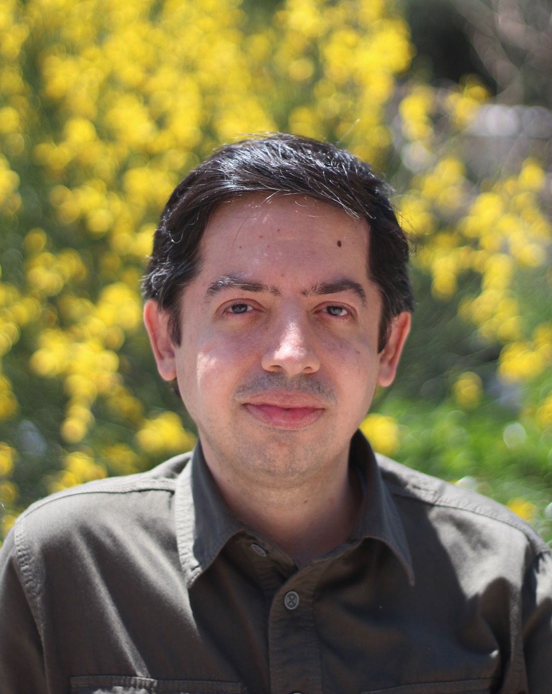 نوح منوری