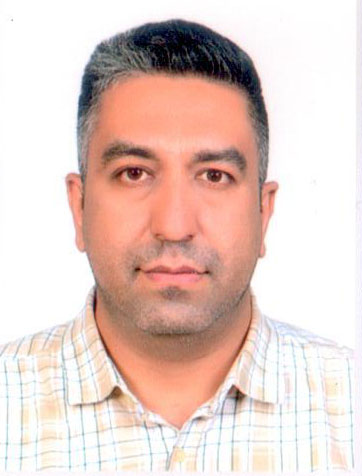 Seyyed Amir Hashemi Zadegan Manshadi