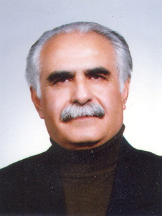 حسن گیلانپور