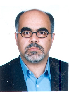 Mojtaba Mirabzadeh Ardekani