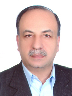 Majid Nabi Bidhendi