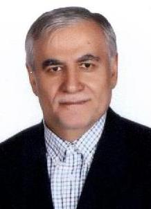 Seyed Safdar Hoseini