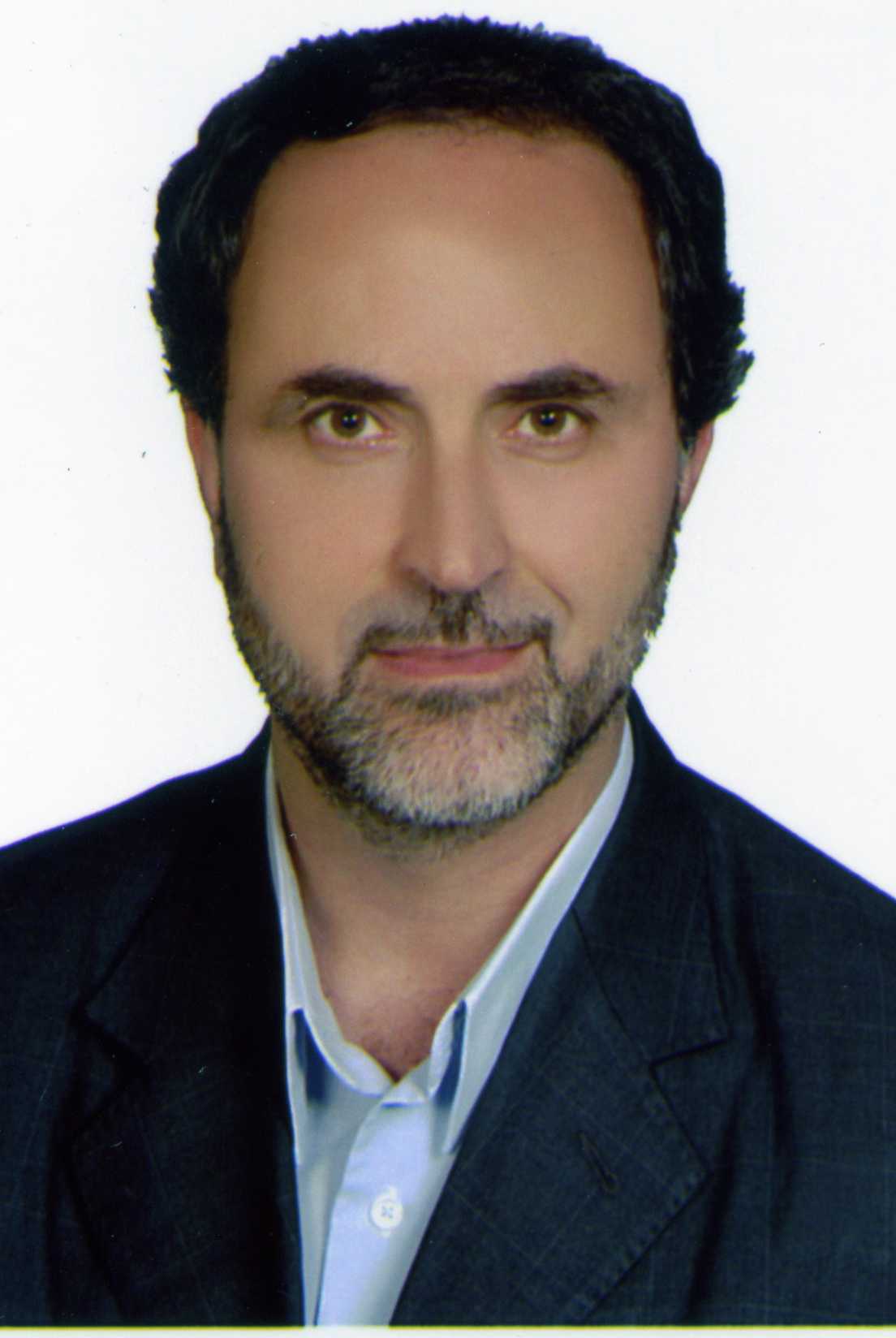 Seyed Hossein Goldansaz