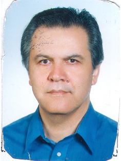 Mojtaba Farzin Aghamir