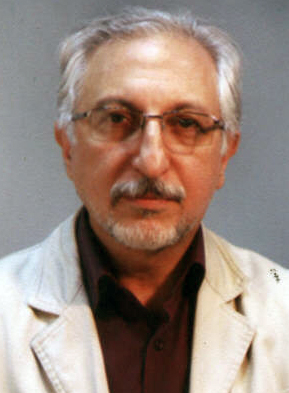 Seyed Mohammad Fadavi