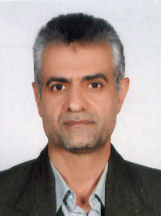 Mojtaba Amiri