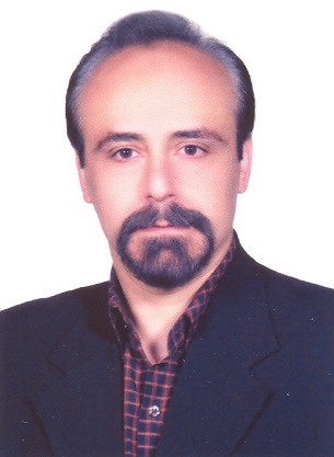 Shahrokh Safarian
