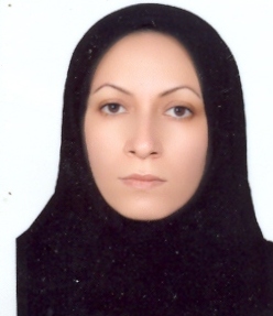 Vahideh Ansari