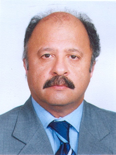 محمود بلورچی