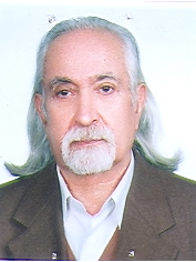 Seyed Ebrahim Dibaji