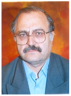 Mohammad Hosein Rafiei Fanoud