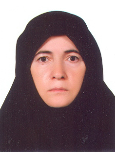 Mina Rostami Beshman