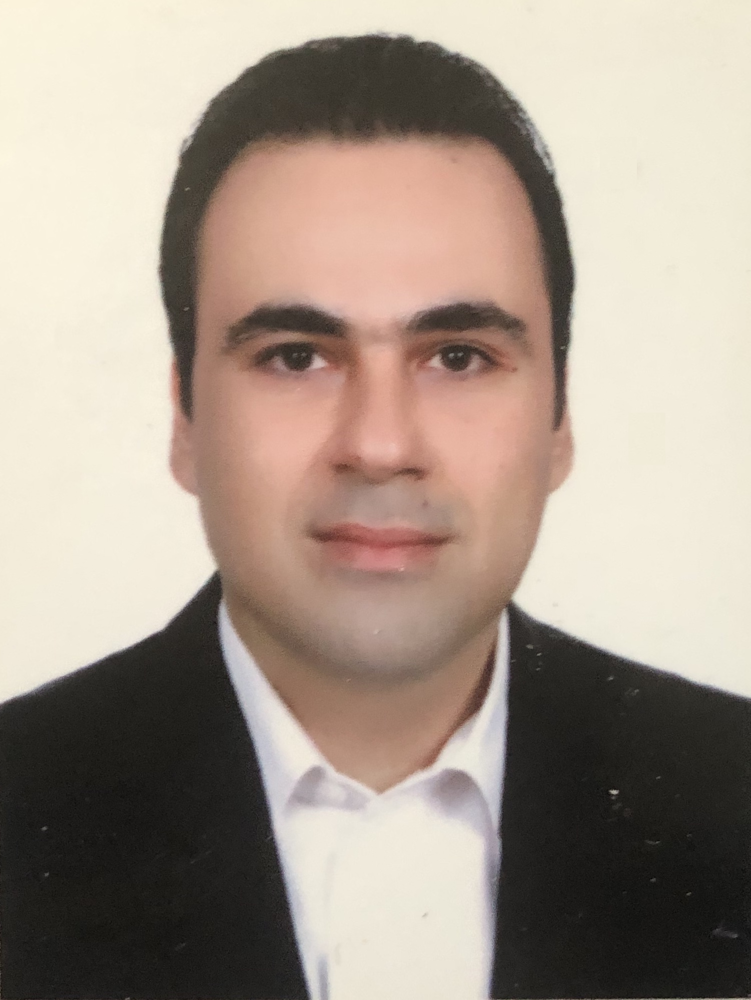 Pedram Hanafizadeh