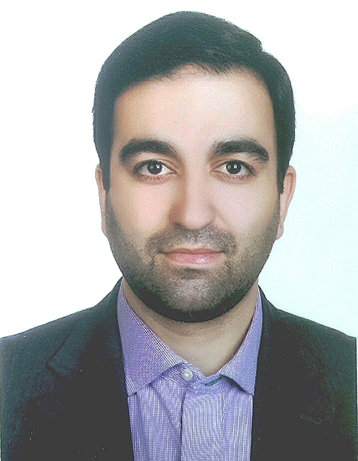 محمد مهدی ذوالفقارزاده کرمانی