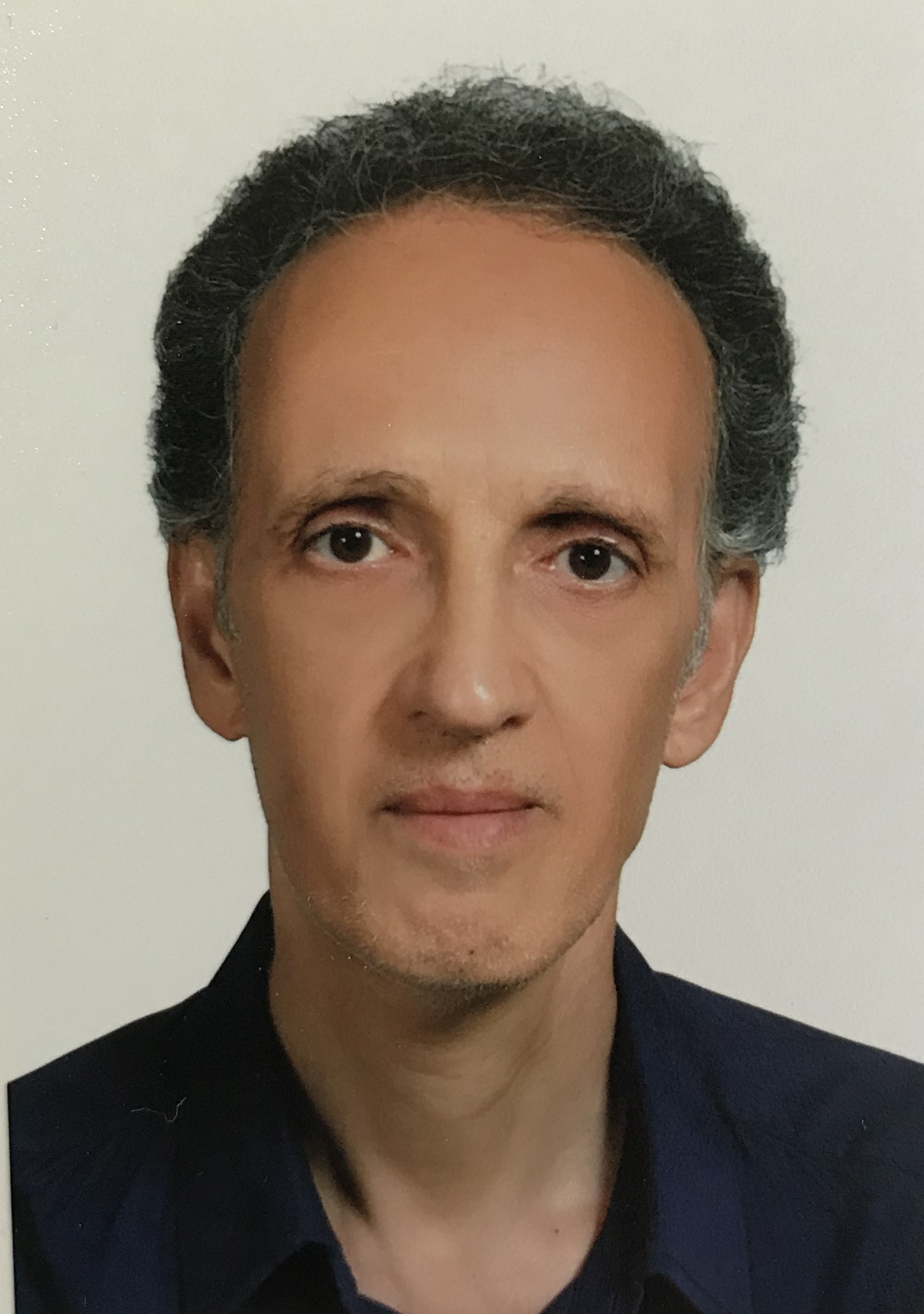 سیدمحمود عرب نجفی