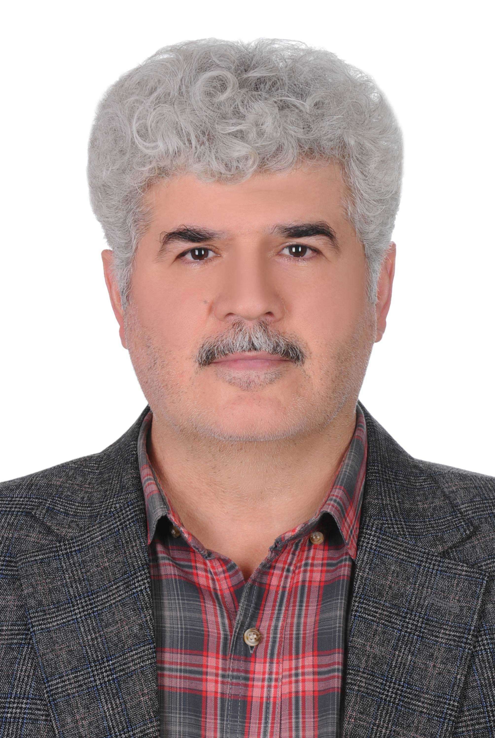 Mirsaleh Mirmohammadi