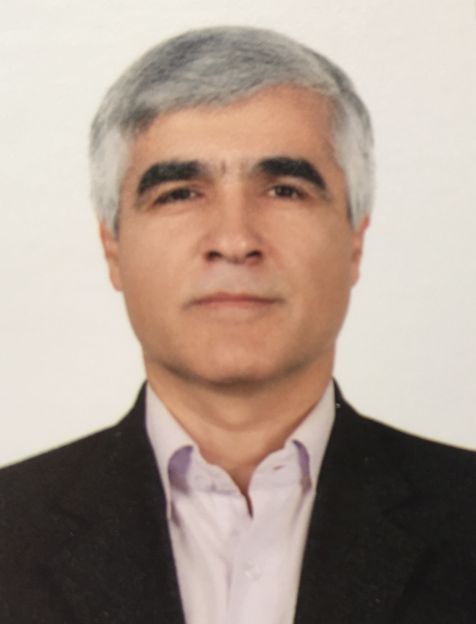 Mohsen Hamedi