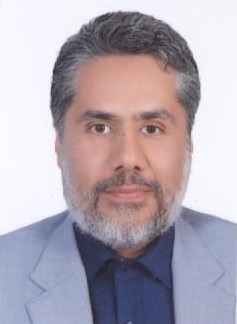 Seyed Mehdi Hosseini Taghiabad