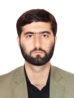 Meysam Khosravi Vishkaei