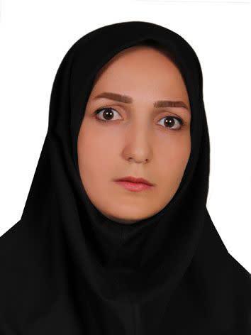 الهام حاتمی شاه میر