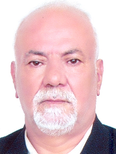 Mahdi Taleb