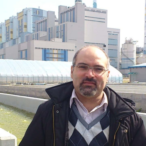 Mohammad Hossein Sarrafzadeh